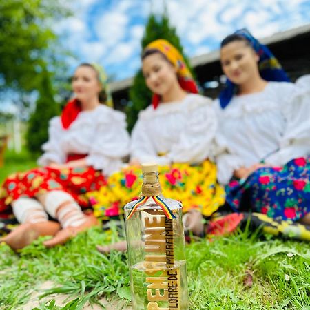 Floare De Maramures 1 Vadu Izei Eksteriør bilde