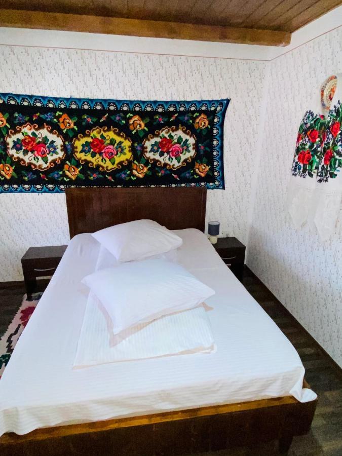 Floare De Maramures 1 Vadu Izei Eksteriør bilde