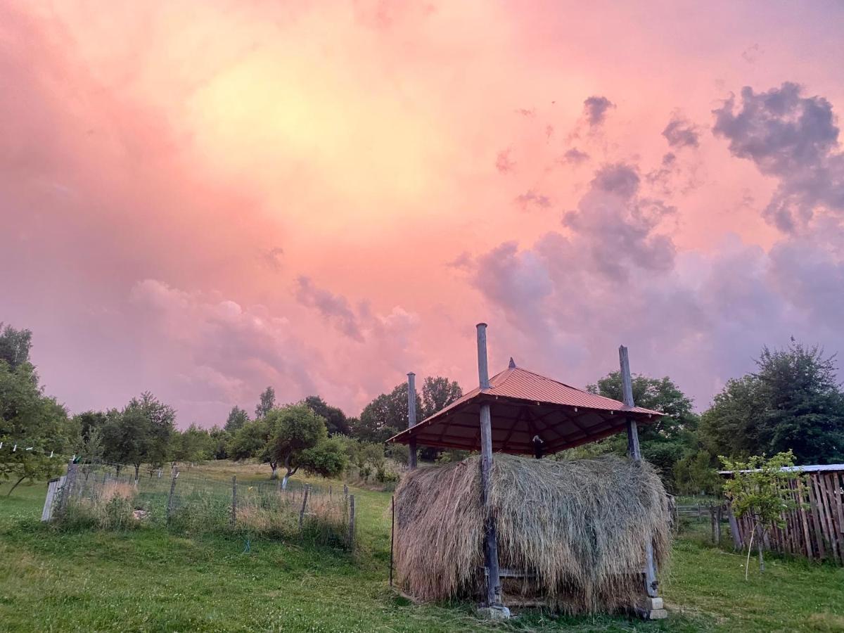 Floare De Maramures 1 Vadu Izei Eksteriør bilde