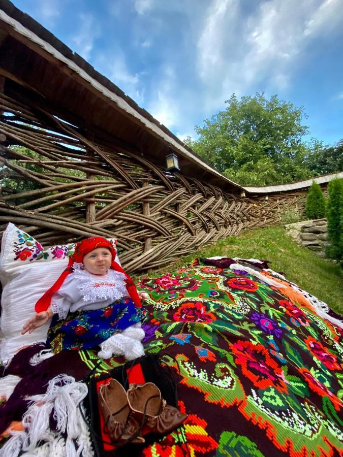 Floare De Maramures 1 Vadu Izei Eksteriør bilde