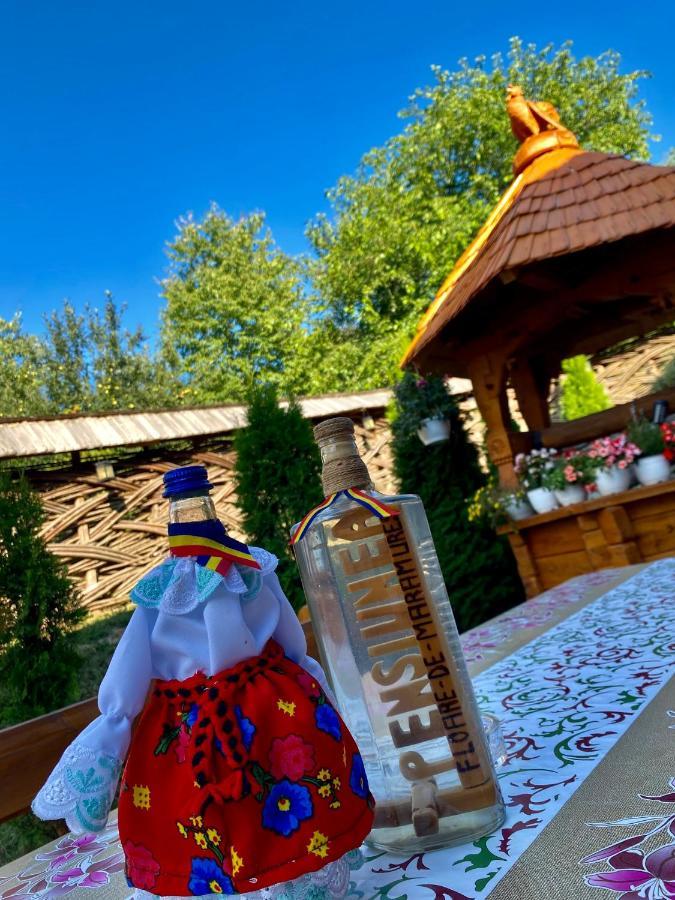 Floare De Maramures 1 Vadu Izei Eksteriør bilde